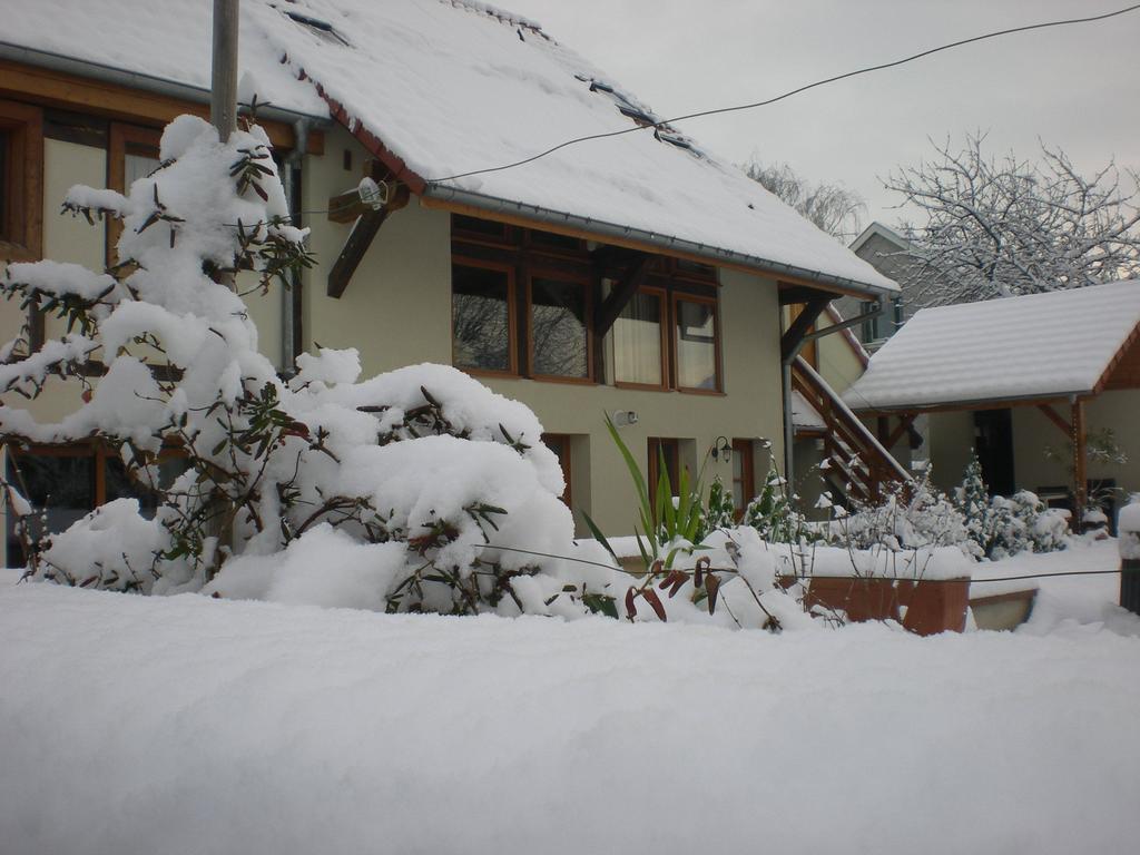 Le Pressoir Des 4 Saisons Daire Berrwiller Oda fotoğraf